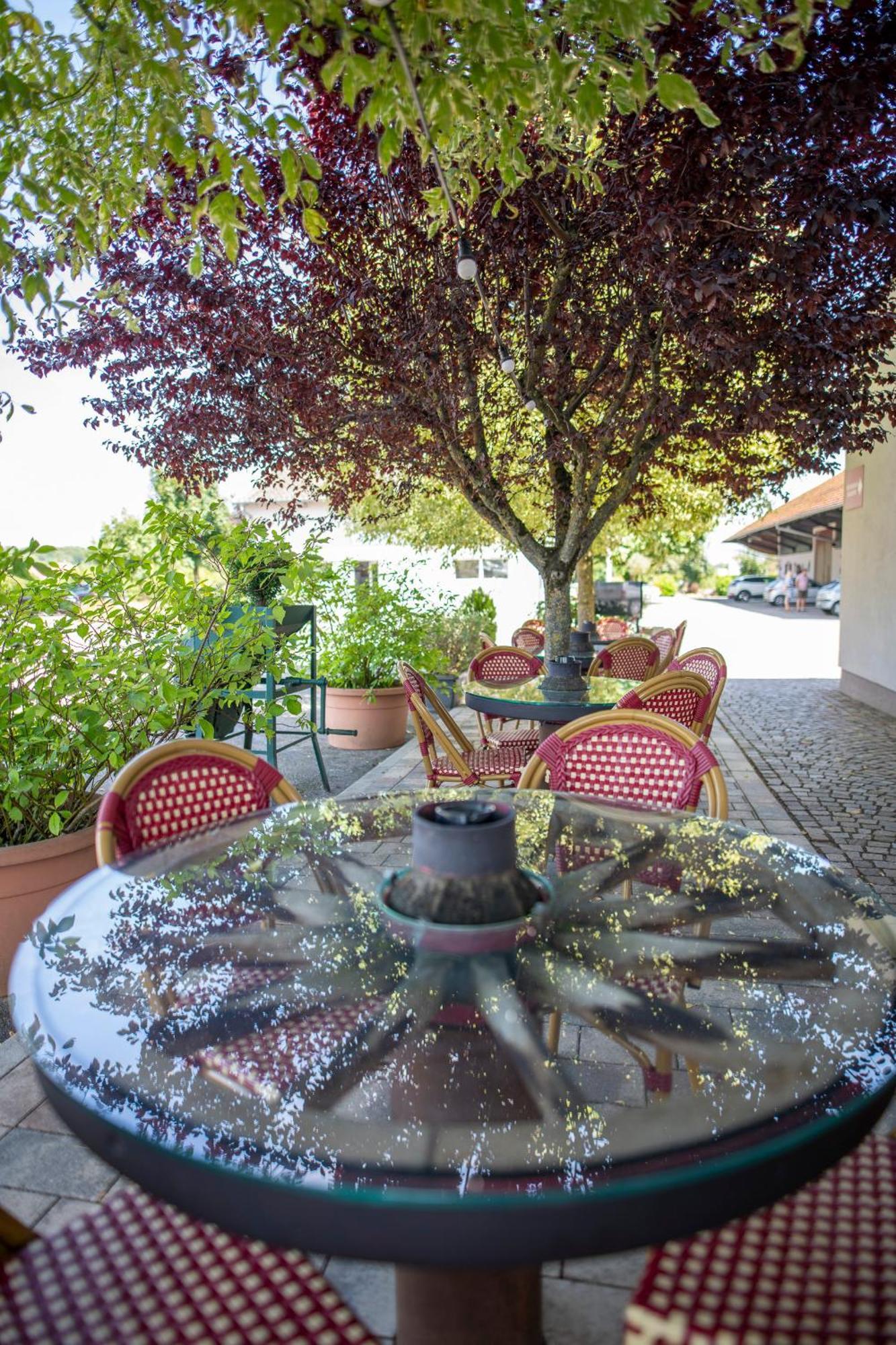 Logis Hotel & Restaurant Au Lion D'Or Burnhaupt-le-Haut 외부 사진